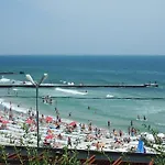 Shellman Odesa