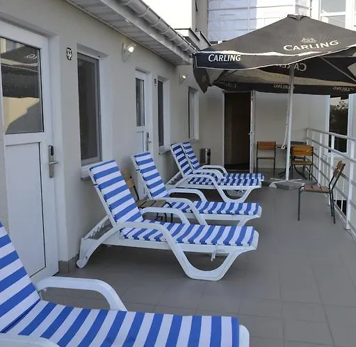 Shellman オデッサ