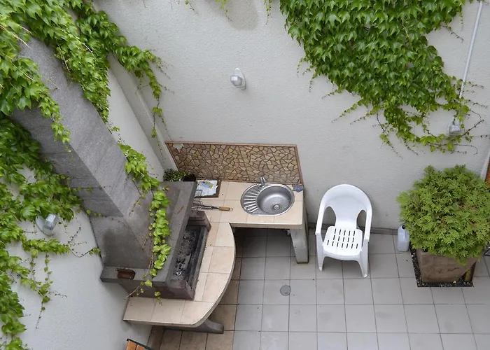 Shellman 4* オデッサ