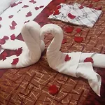 Apart-hotel Shellman